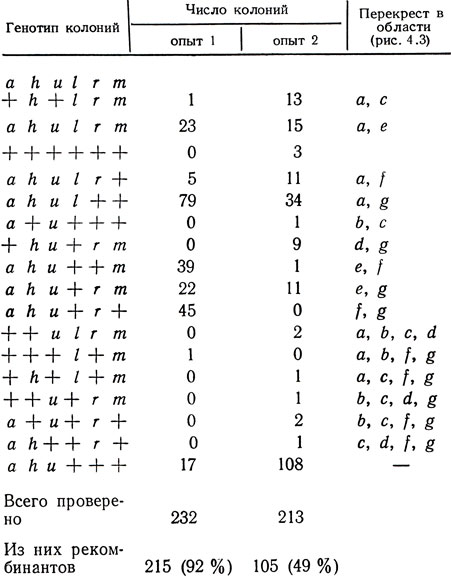  4.4.        196 ade-1 his-1 ura-1 (pSO1+)  24-141 leu-1 rib-1 met-1 ant (pSO1-) [3]