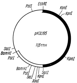 . 10.32.    pJHL 195 [37]:   -  SCP2;   - pBR322;   -   (aph).      . coli - Streptomyces