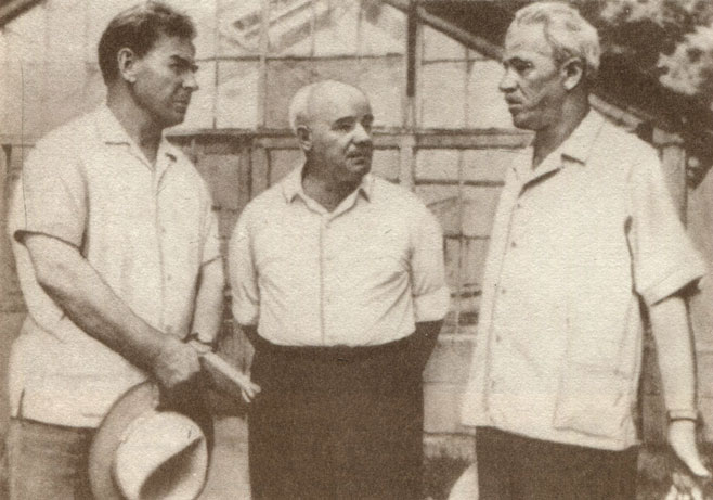 Справа налево: П. Ф. Гаркавый, Н. П. Дубинин, Ф. Г. Кириченко после осмотра теплиц в Одесском селекционно-генетическом институте