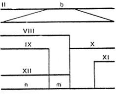 . IX.3.    II, VIII-XII