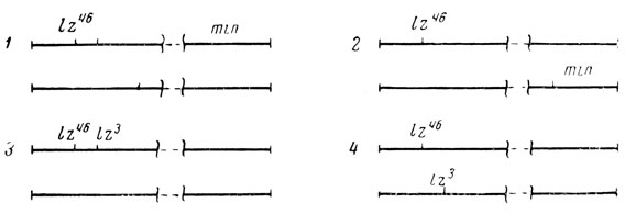 . 1. --.    ,    I :  lozenge (  ) - ,   miniature (  ) - .    .   1  2 ,     ,    ,   ,        (-,  1)    (-,  2).   3  4    (46  3 -   )      lozenge.   ,      ,       ,     - ( 3).  - ( 4)    