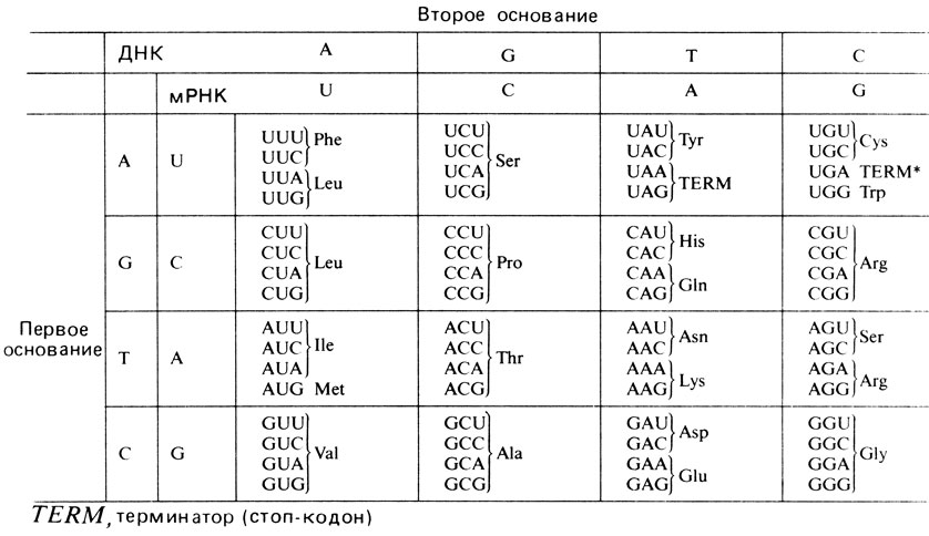 Таблица 2.12. Генетический код
