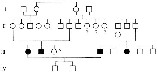 Рис. 3.10. Родословная с глухонемотой, иллюстрирующая генетическую гетерогенность (Muhlmann, 1930 [817]). Оба родителя поражены наследственной глухонемотой: у них есть пораженные сибсы, и оба они из кровнородственных браков. Тем не менее двое их сыновей не глухие. Они являются двойными гетерозиготами по двум разным генам глухонемоты