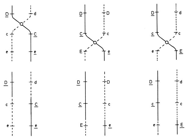 Рис. 3.33. Предполагаемое образование трех редких Rh-гаплотипов из более частых вследствие кроссинговера (Race, Sanger [166]). Каждая диаграмма предполагает самостоятельное событие кроссинговера