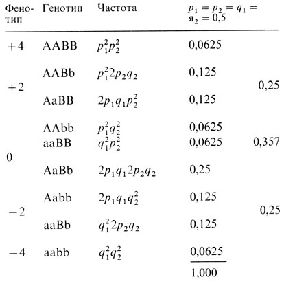 Таблица 3.13. Генотипы и фенотипы при аддитивном полигенном наследовании